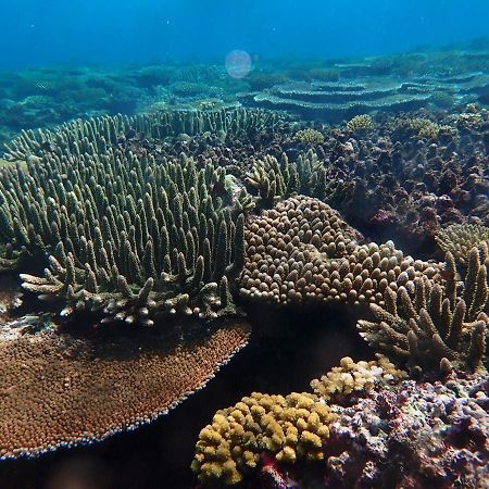 Fiji Lodge Vosa Ni Ua Savusavu Dış mekan fotoğraf
