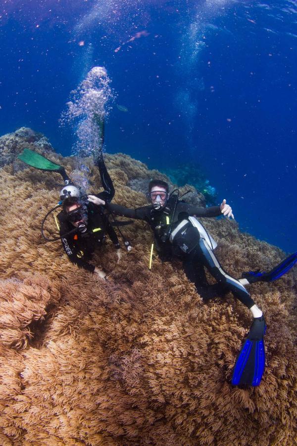 Fiji Lodge Vosa Ni Ua Savusavu Dış mekan fotoğraf