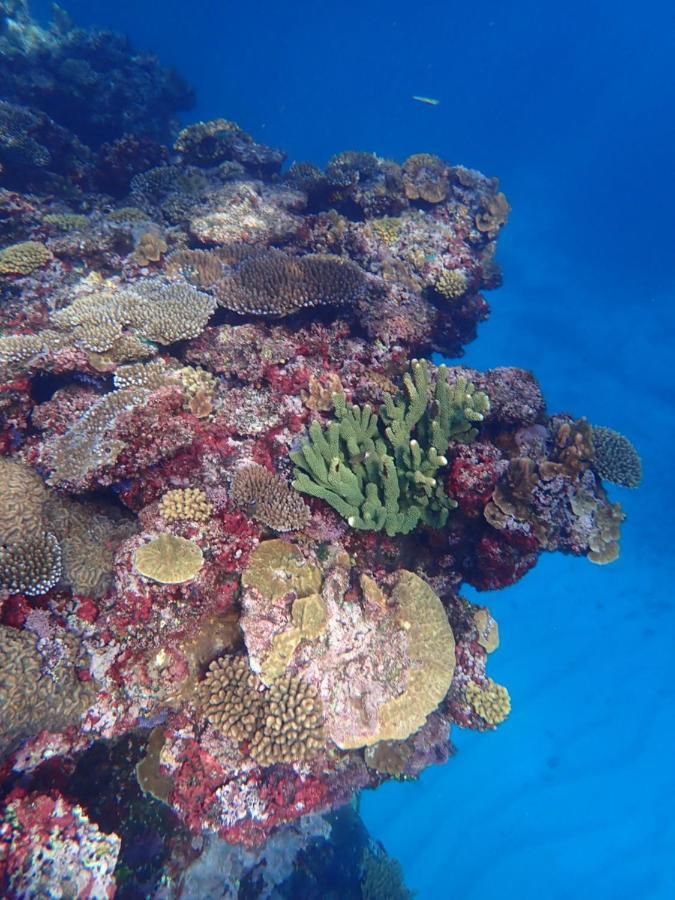 Fiji Lodge Vosa Ni Ua Savusavu Dış mekan fotoğraf