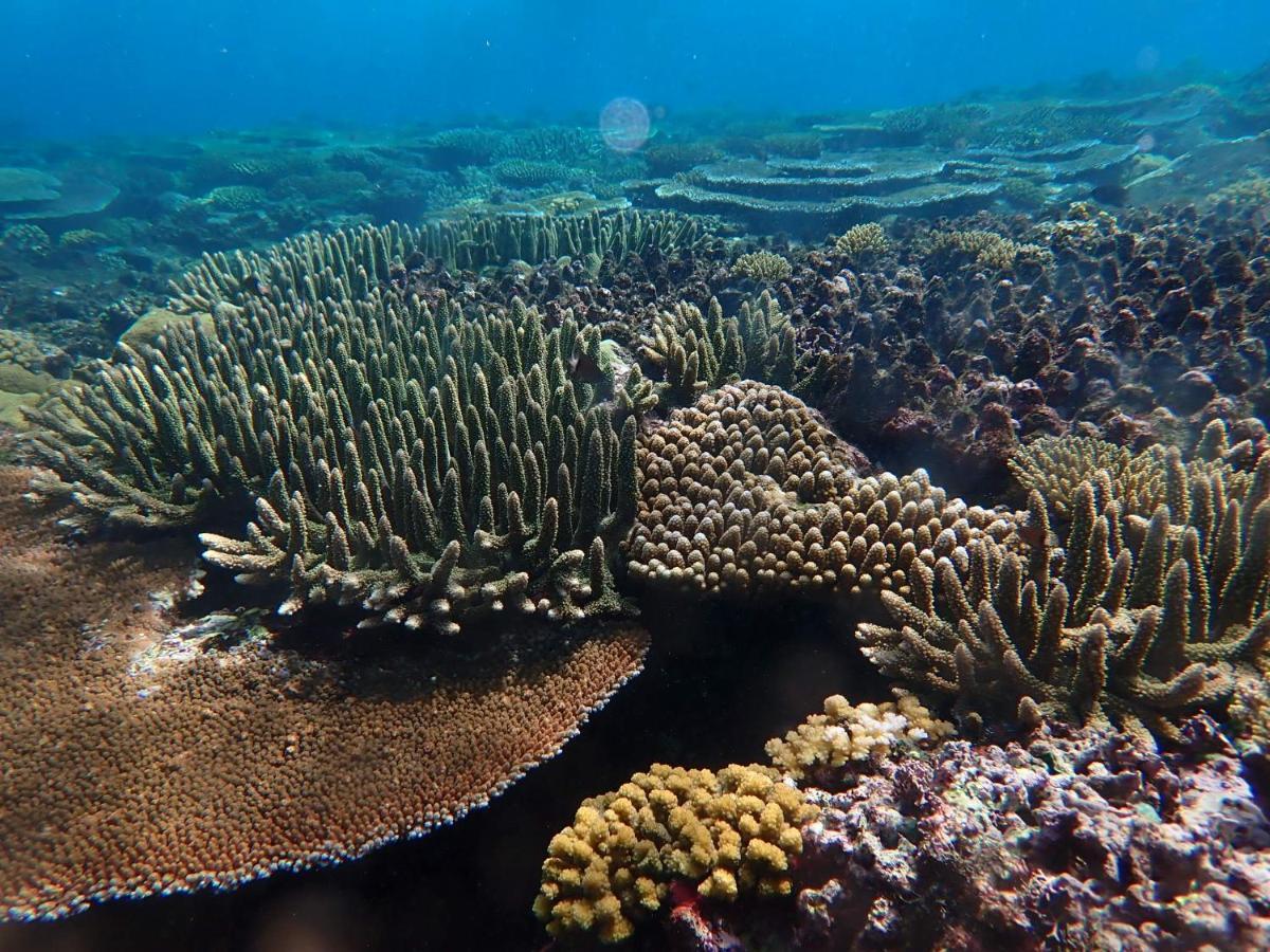 Fiji Lodge Vosa Ni Ua Savusavu Dış mekan fotoğraf